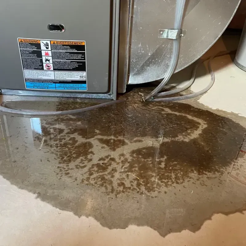 Appliance Leak Cleanup in Mobile, AL